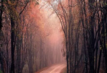 国际米兰轻松战胜切尔西，继续保持领先优势