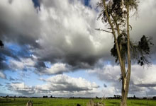 斯特拉斯堡将在圣艾蒂安竞技场迎战梅斯