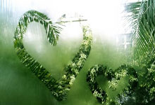 深圳佳兆业新帅上任，重塑球队士气