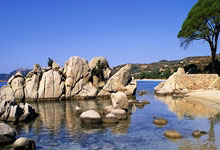 利物浦连续获胜，实力不容忽视